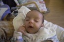 CRW_0213 * 3076 x 2052 * (1.65MB)