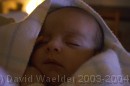 CRW_0249 * 3076 x 2052 * (1.96MB)