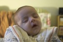 CRW_0328 * 3076 x 2052 * (1.32MB)