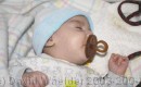 CRW_0357 * 2588 x 1596 * (444KB)
